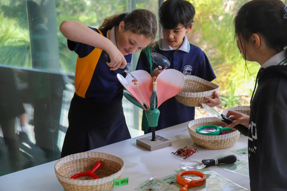 Brilliant Botanists School students participating in a science activity.