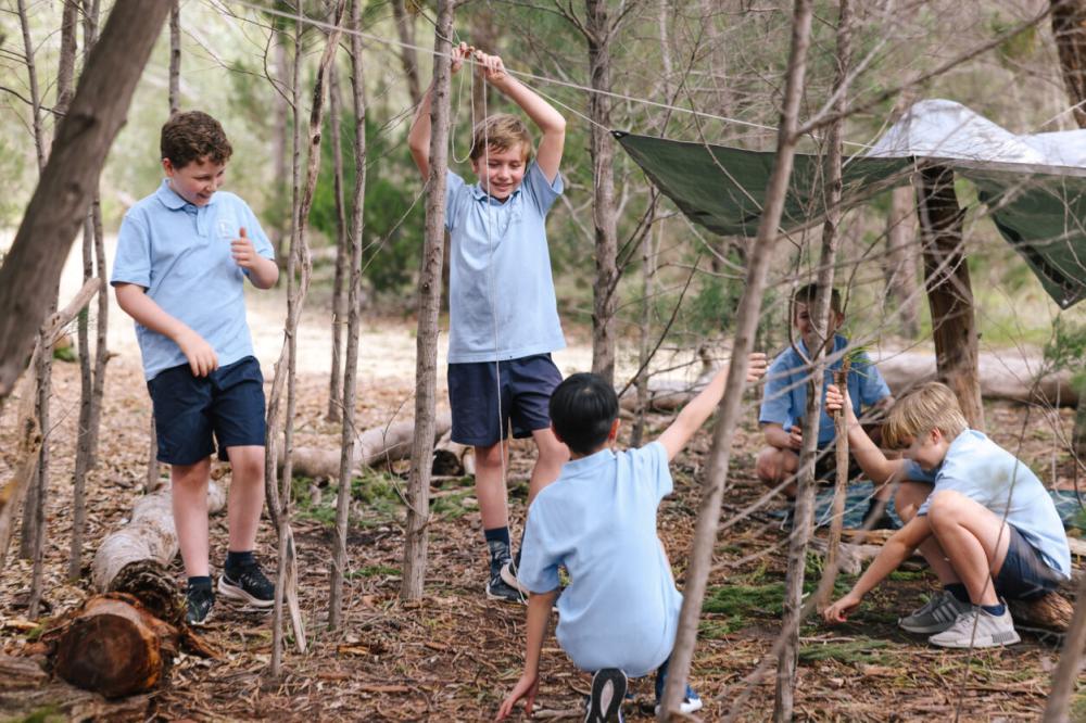Day Camp Day Camp