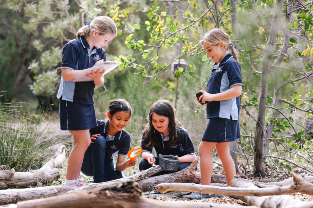 habitats uncovered Habitats uncovered