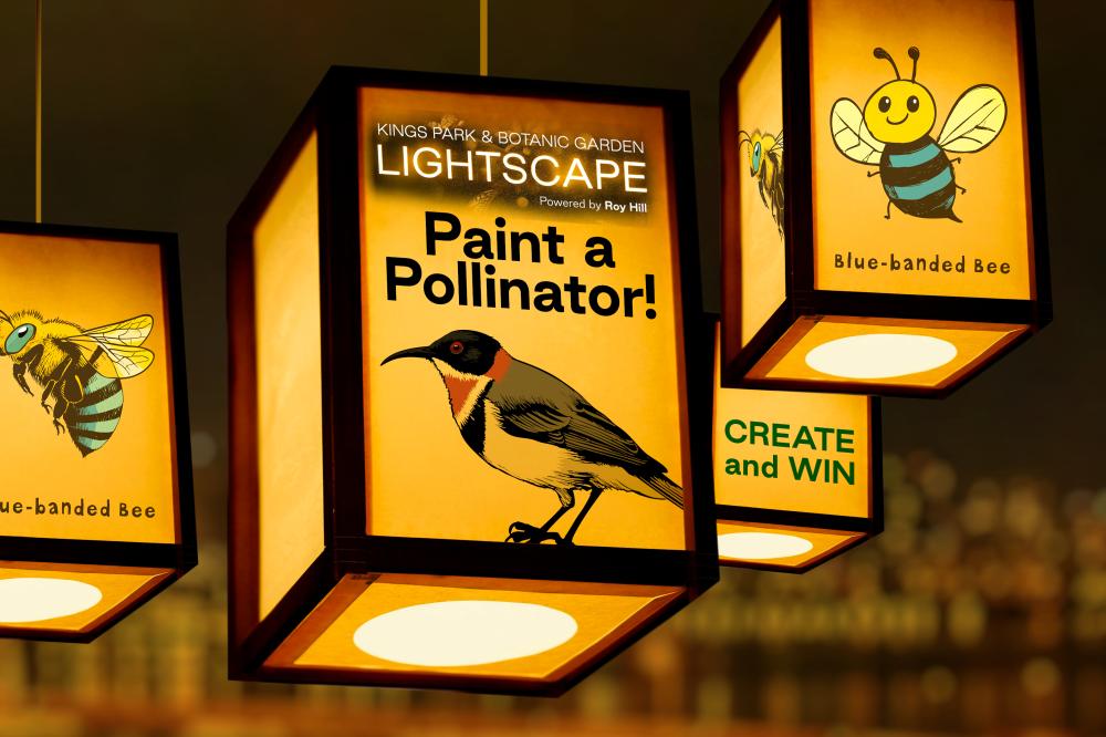 Lightscape_Pollinators Lightscape_Pollinators