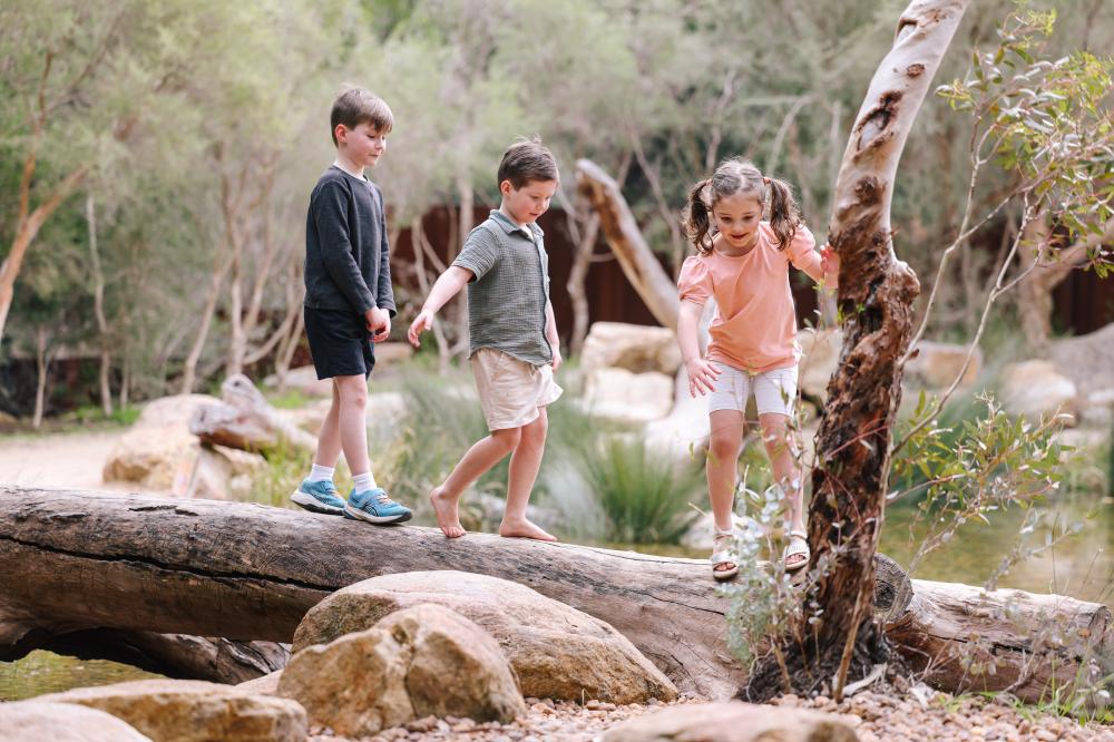 A Big Adventure In Kings Park A Big Adventure In Kings Park