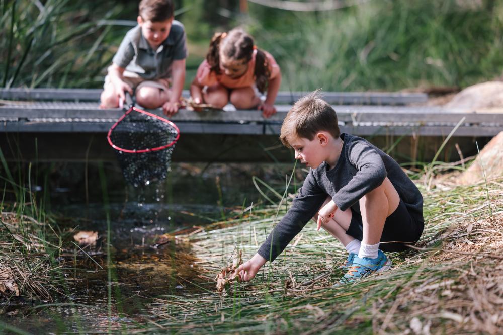 Nature Boat Building Nature Boat Building