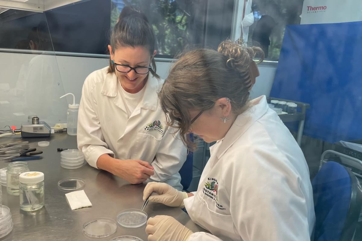 Supervisor, Emma Dalziell, and student, Rebecca Jonas complete lab work. Supervisor, Emma Dalziell, and student, Rebecca Jonas complete lab work.