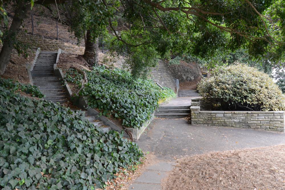 Kokoda Track Kokoda Track from bottom of escarpment on Mounts Bay Road.