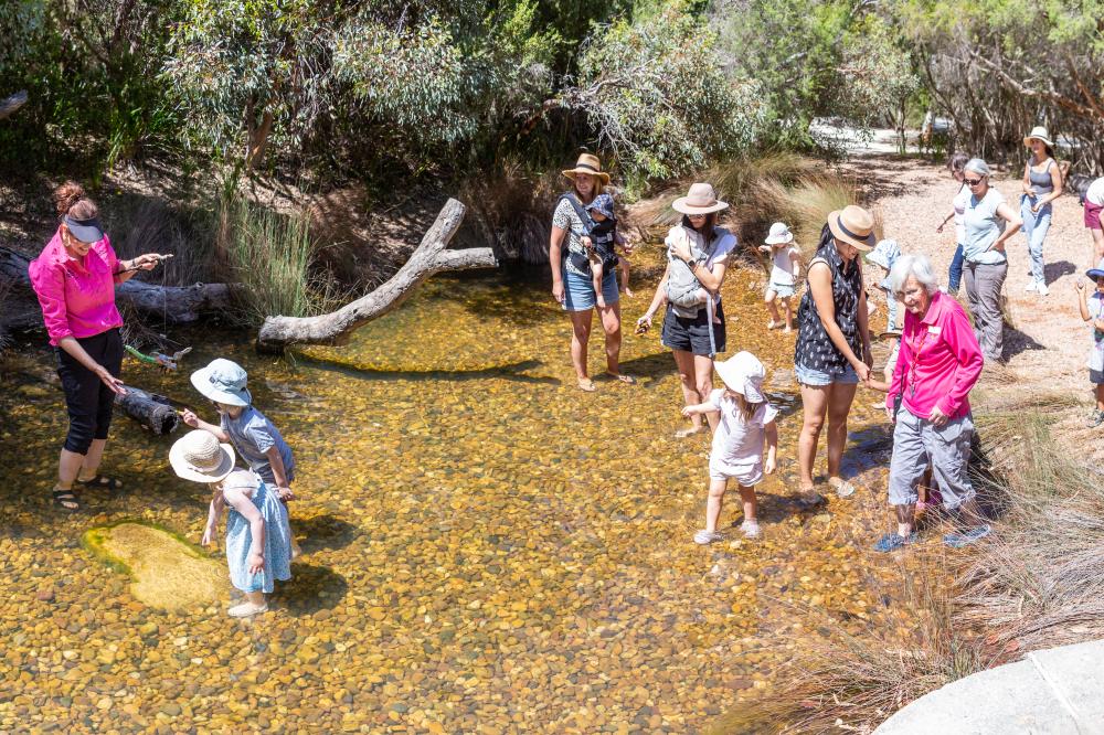 Rio Tinto Naturescape Kings Park Children playing in the Paperbark Waterhole.