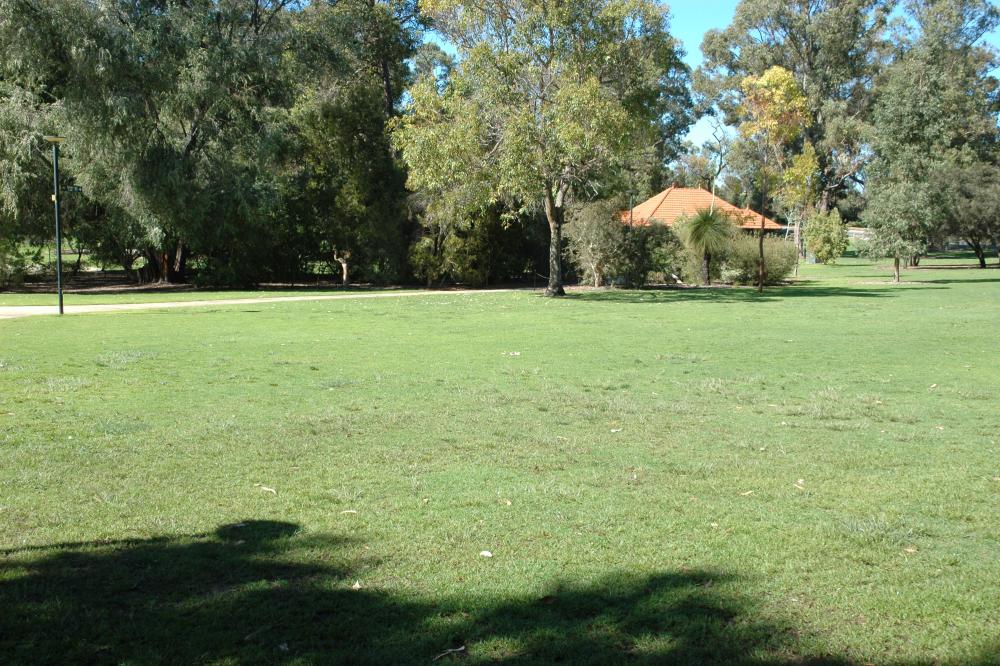 Grass Trees Lawn Grass Trees Lawn is located in May Drive Parkland