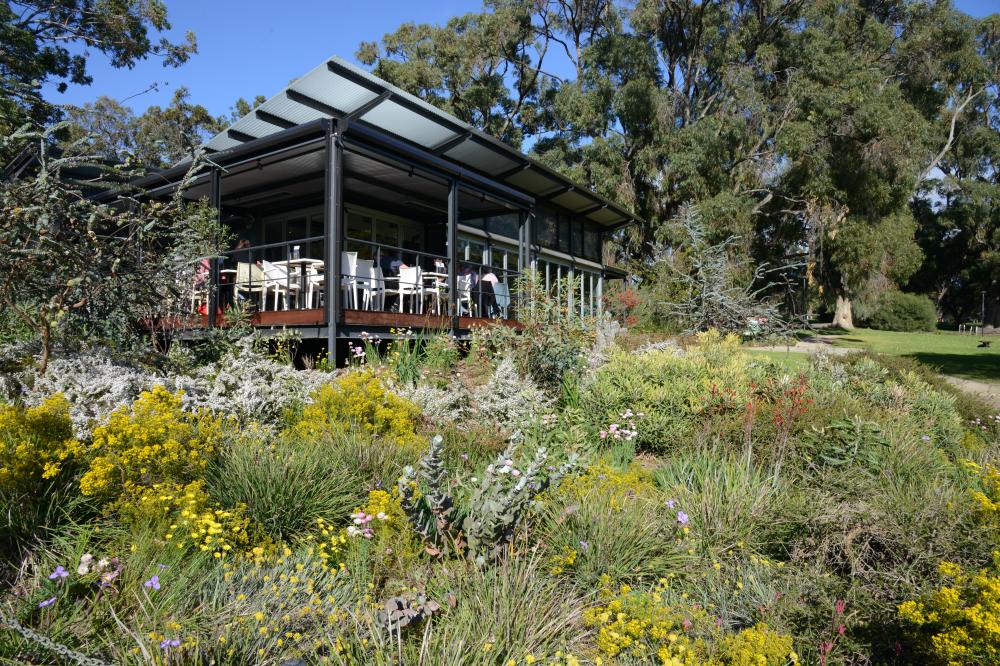 Backyard Botanicals The Backyard Botanicals bed is located at May Drive Parkland, outside Zamia Cafe