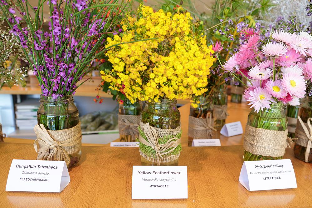 Perfect Specimens Cut flower display.