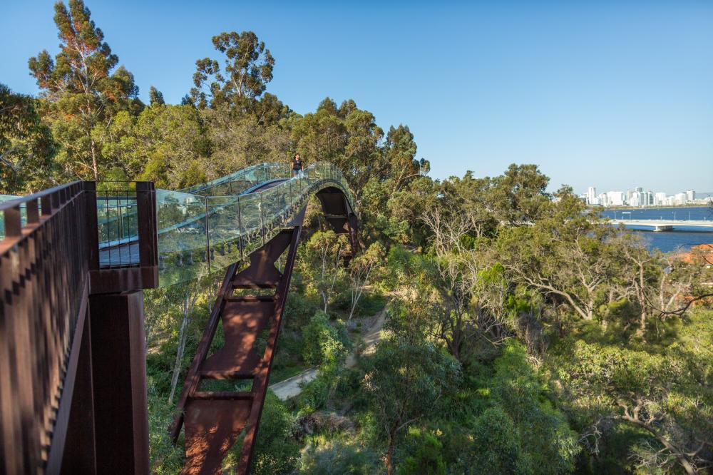 Lotterywest Federation Walkway Lotterywest Federation Walkway Bridge at Kings Park