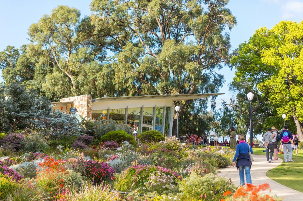 Aspects and the mound from the WA Botanic Garden entrance Aspects and the mound from the WA Botanic Garden entrance