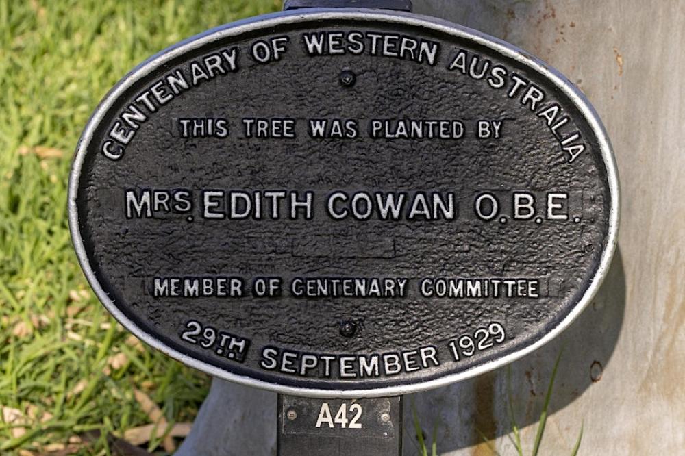 Edith Cowan plaque Edith Cowan plaque