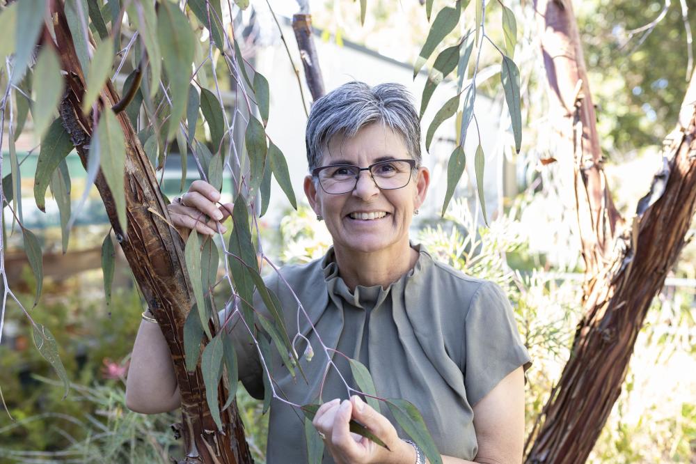 Sue McDougall