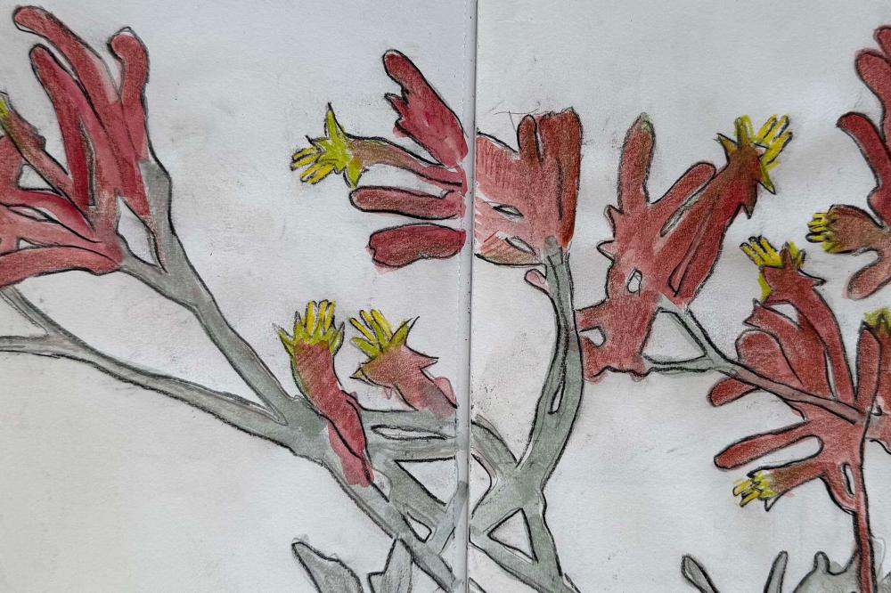 Drawing Wildflowers with Geri Barr Drawing Wildflowers with Geri Barr