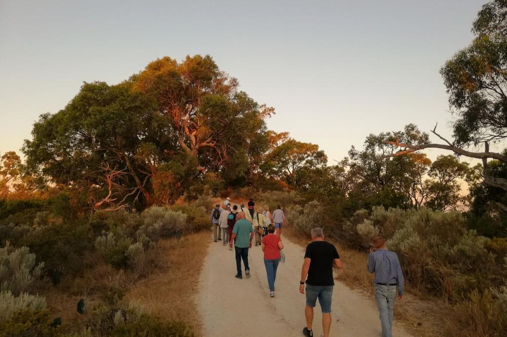Tree Explorer Walk Tree Explorer Walk