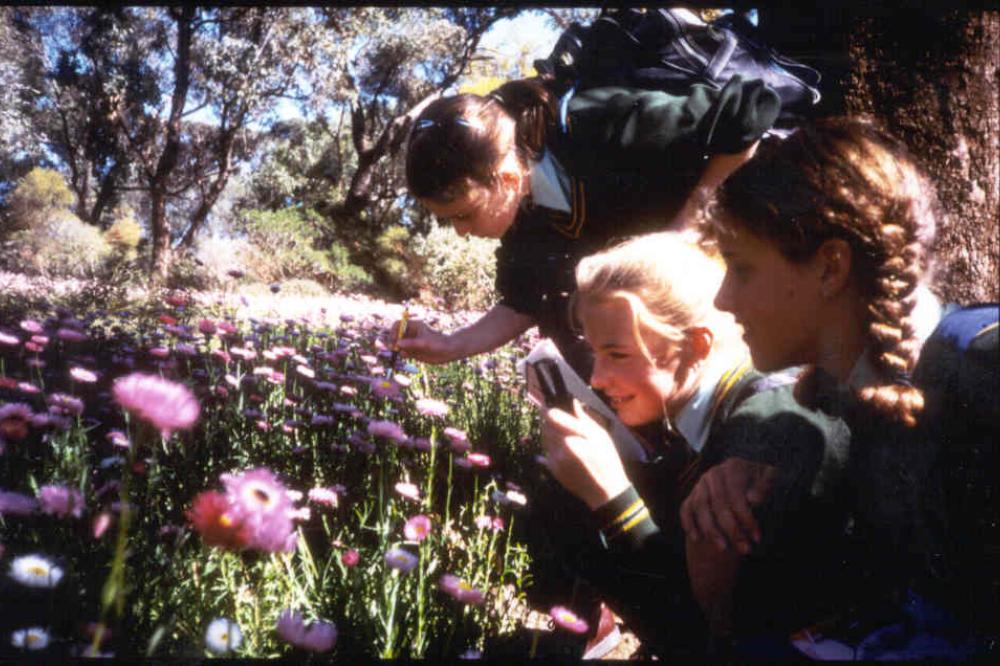 Penrhos College students at Wildflower Festival 1998 Penrhos College students at Wildflower Festival 1998