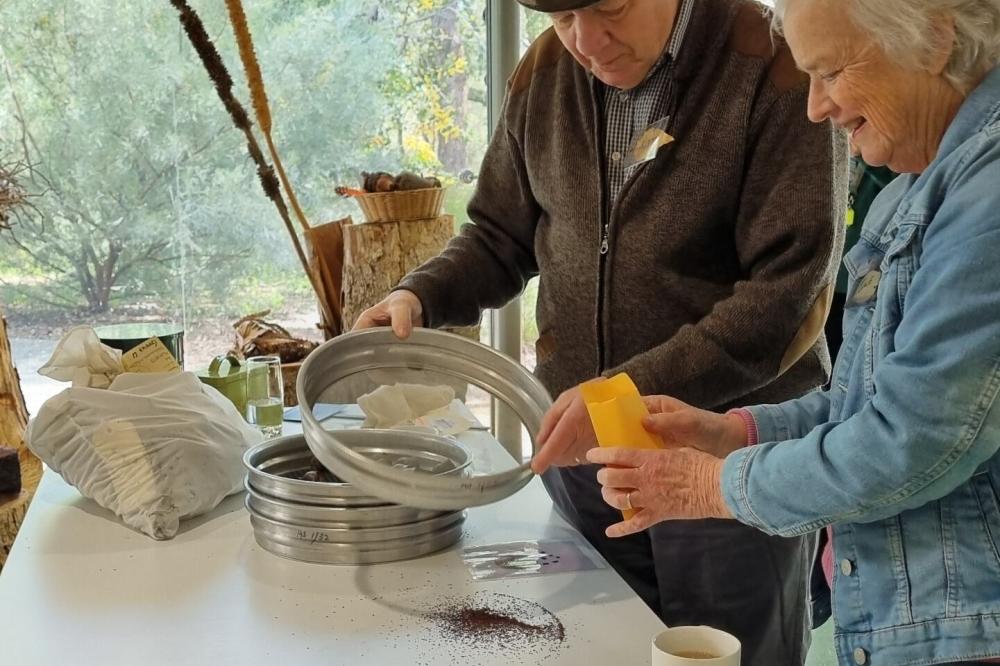 Wellness in Kings Park Wellness in Kings Park