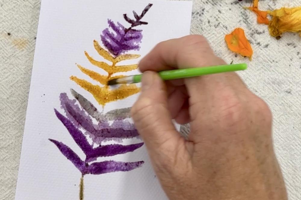 Natural Dyeing & Botanical Art Workshop Natural Dyeing & Botanical Art Workshop