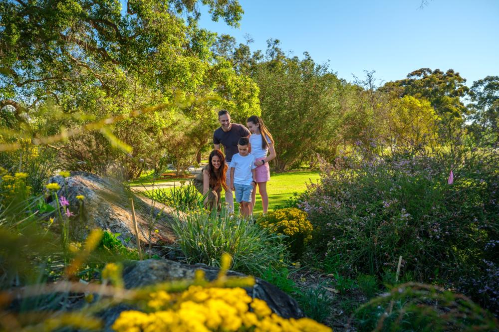 Family at the WA Botanic Garden entrance beds Family at the WA Botanic Garden entrance beds