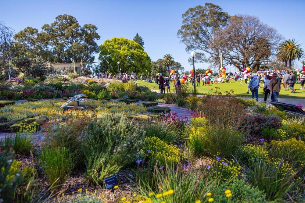 Everlasting Kings Park Festival Everlasting Kings Park Festival