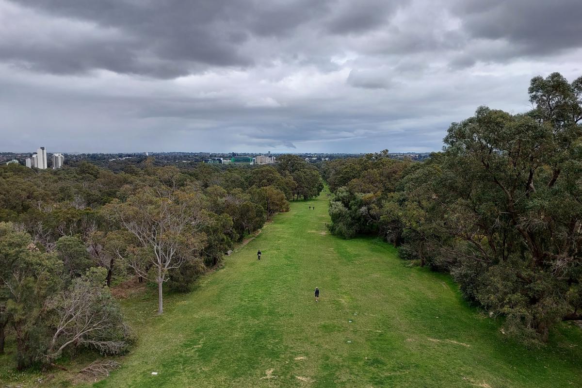 Kings Park Kings Park