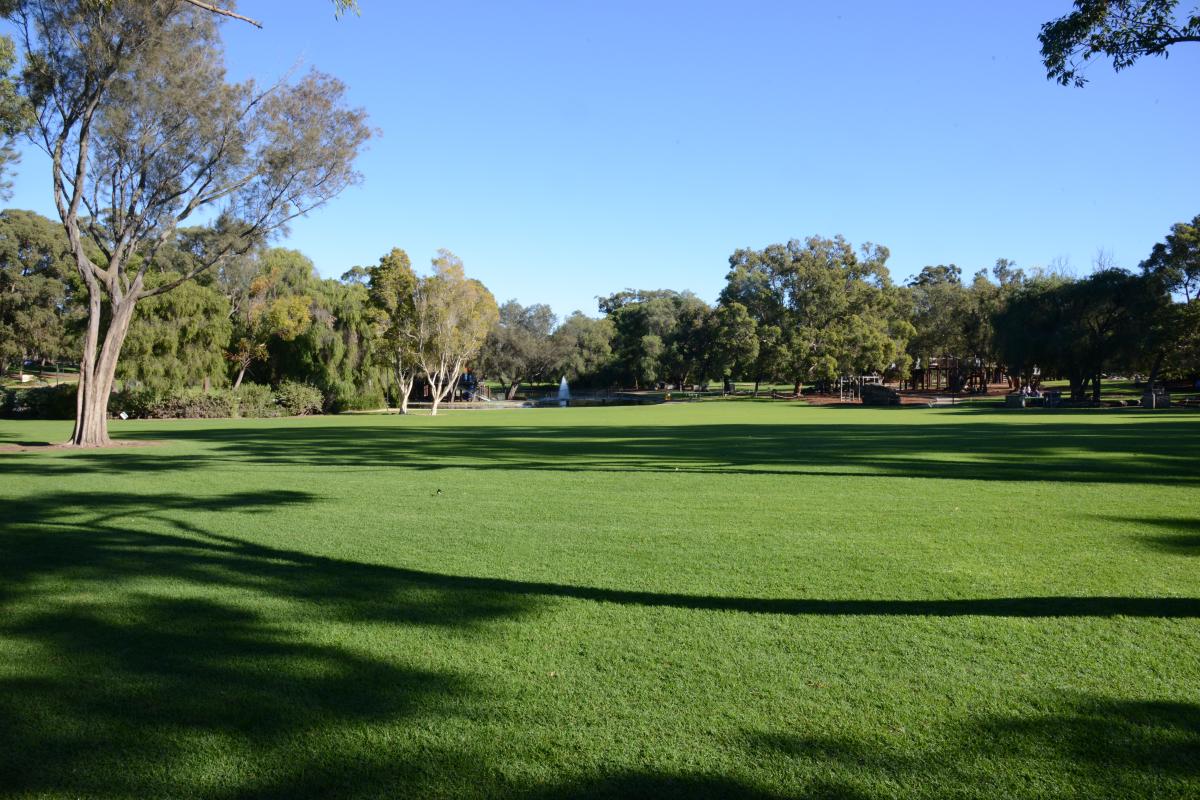 Cinema Lawn Cinema Lawn is a large expanse of lawn at May Drive Parkland that is used for outdoor cinema events in summer months.