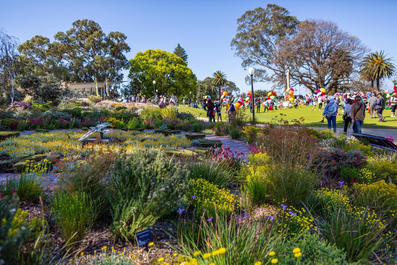 About the Everlasting Kings Park Festival Kings Park