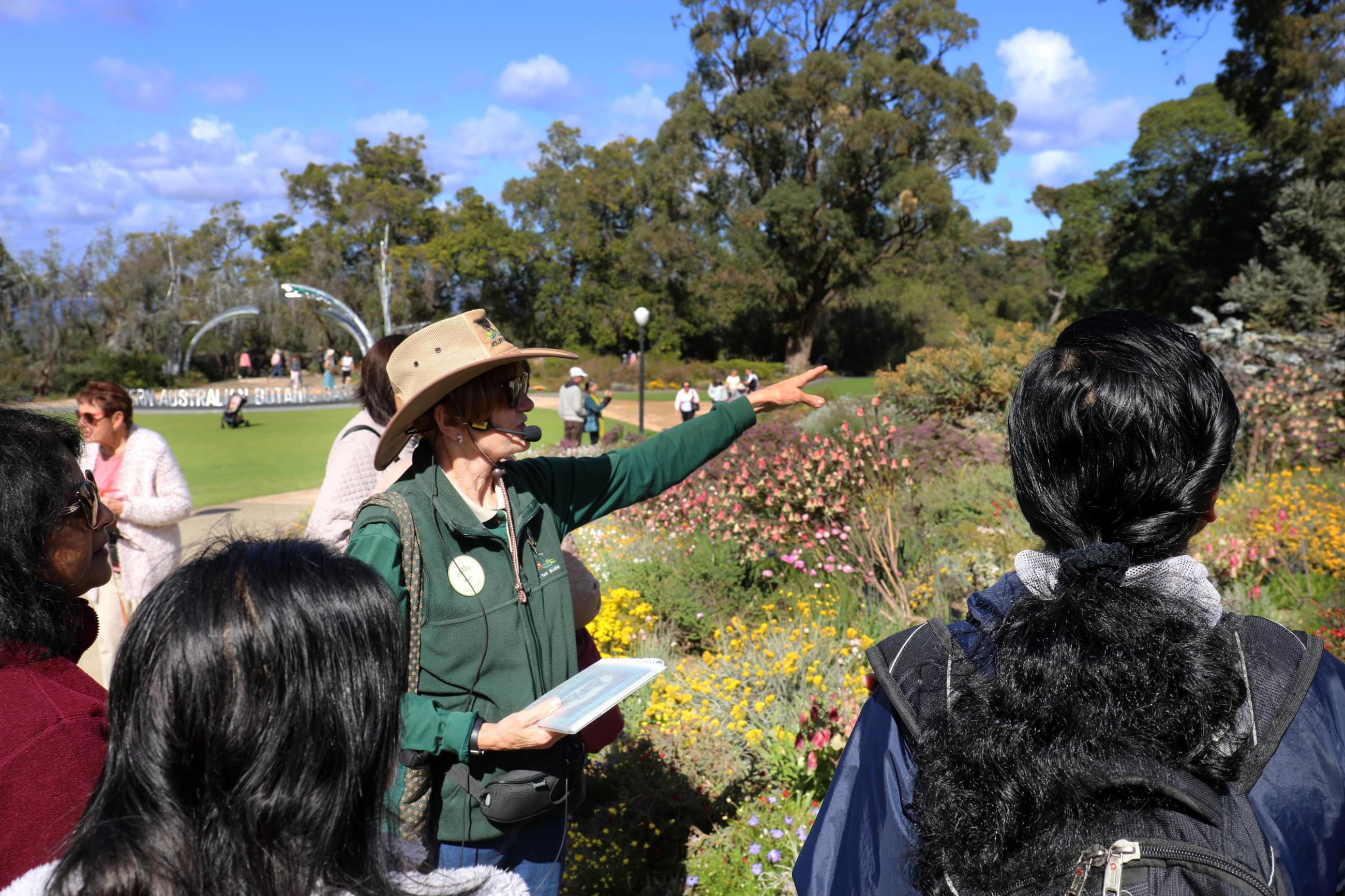 Plan your Festival visit Kings Park