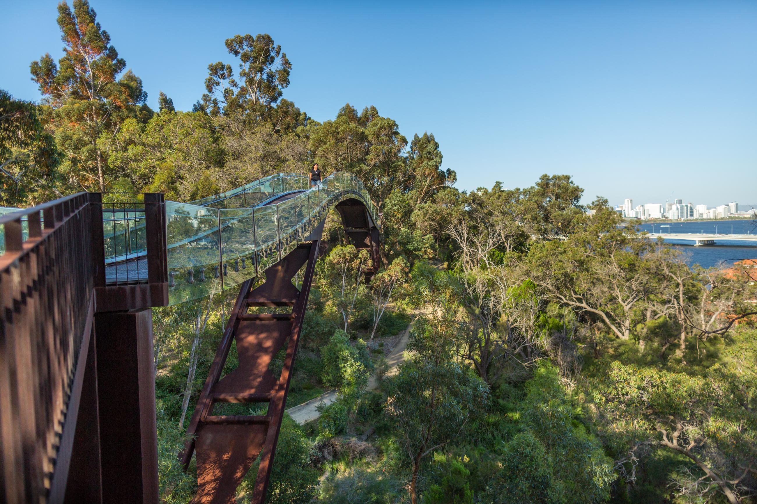 Kings Park crowned Australia's best attraction | Kings Park