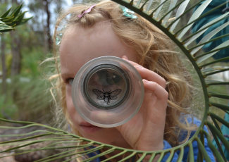 Child looking through a glass at a bug.