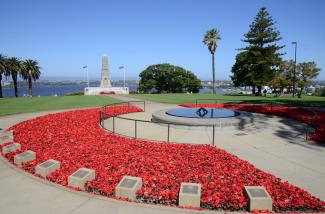 Crocheted poppies around the Flame of Remembrance.