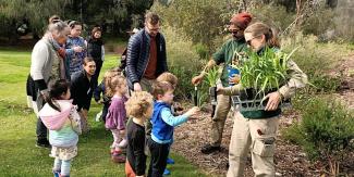 Budding Green Thumbs