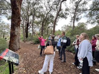 Secondary Tree Walk