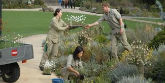 Greening Your Thumb