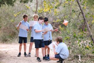 Orienteering