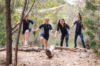 End of Year Big Day Out End of Year Big Day Out