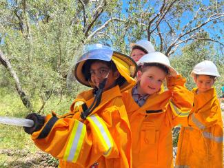 Tawny and the Bushfire Tawny and the Bushfire