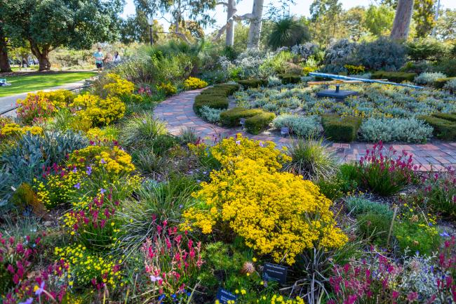 Floral Clock | Kings Park