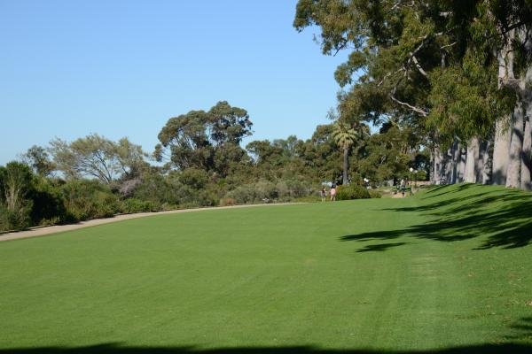 Rifle Range Lawn North is a large lawn area on Fraser Ave overlooking Perth city.