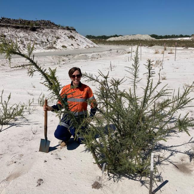 PhD student Vanessa at a Banksia Woodland restoration site.