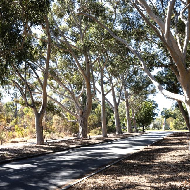 Lovekin Drive Lovekin Drive