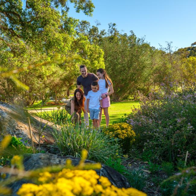 Family at the WA Botanic Garden entrance beds Family at the WA Botanic Garden entrance beds